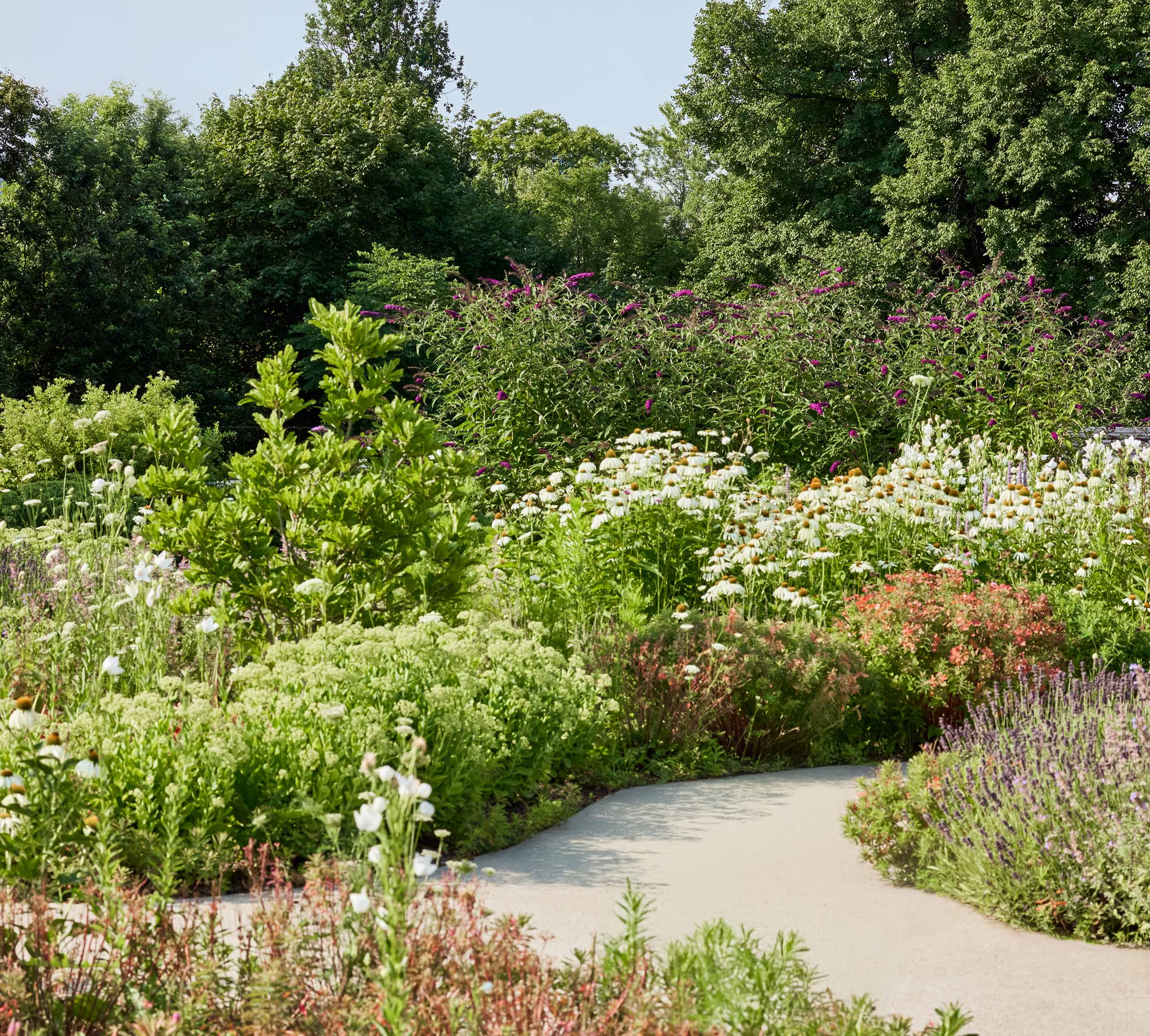 Rosedale Ravine trails